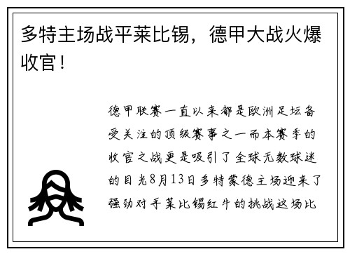 多特主场战平莱比锡，德甲大战火爆收官！